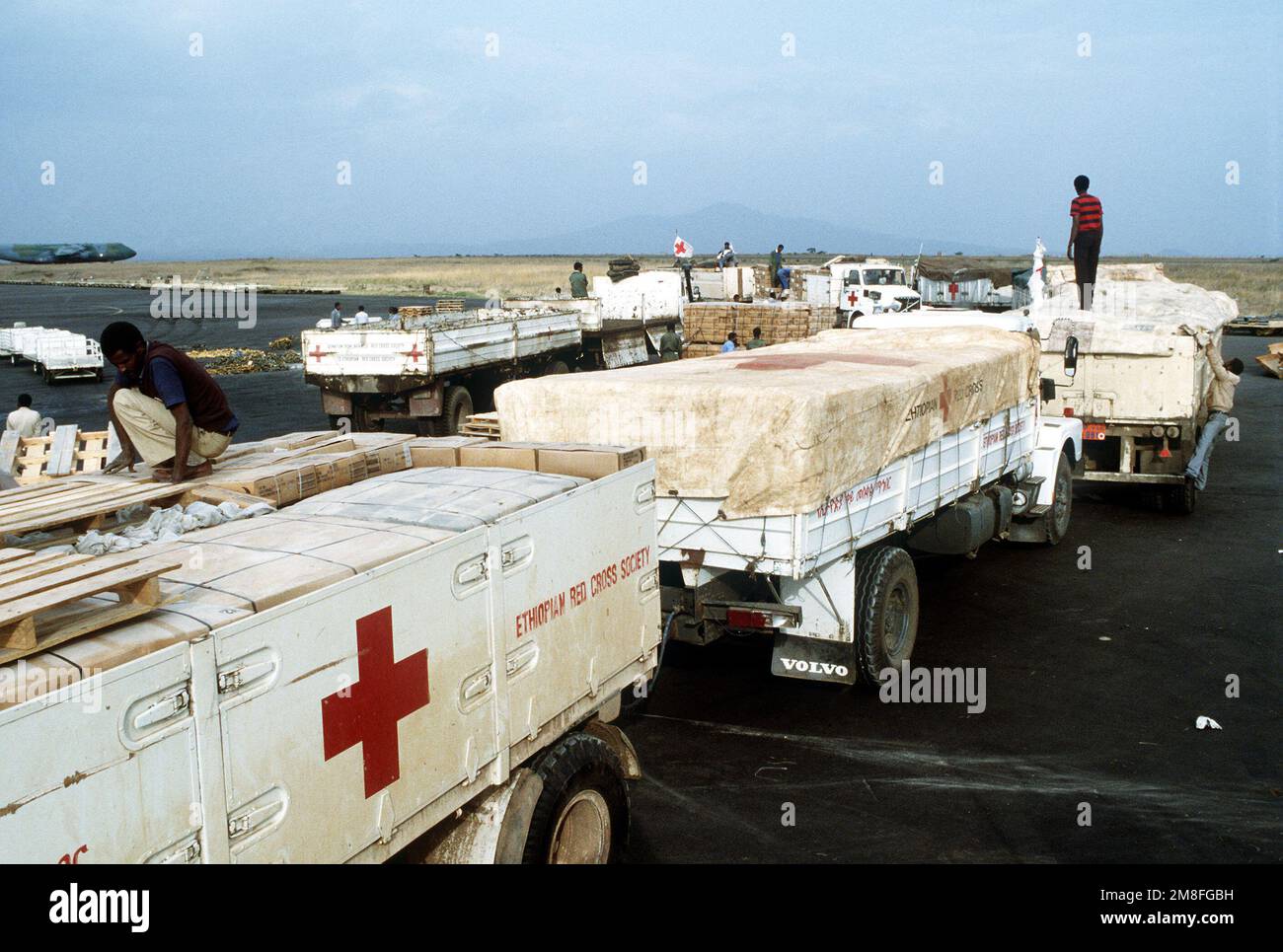 I lavoratori caricano scatole contenenti pasti pronti per mangiare (MREs) su un camion della Croce Rossa dopo che le forniture sono state consegnate in Etiopia dal comando militare di sollevamento aereo C-5A Galaxy. La Croce Rossa consegnerà le REM ai rifugiati che soffrono a causa dei disordini civili dell'Etiopia. Gli MREs sono forniture militari in eccesso e sono messi a disposizione dall'autorità del programma McCallum e del programma DOD Excess Property. Base: Addis Ababa Paese: Etiopia(ETH) Foto Stock