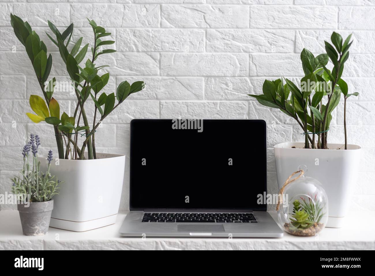 Primo piano di un computer portatile aperto su un tavolo bianco. Nelle vicinanze c'è un computer. piante della casa. Luogo di lavoro vuoto. Foto Stock