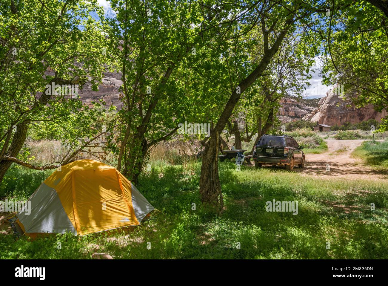 Campeggio presso Echo Park Campground, vicino a Steamboat Rock, Dinosaur National Monument, Colorado, Stati Uniti Foto Stock
