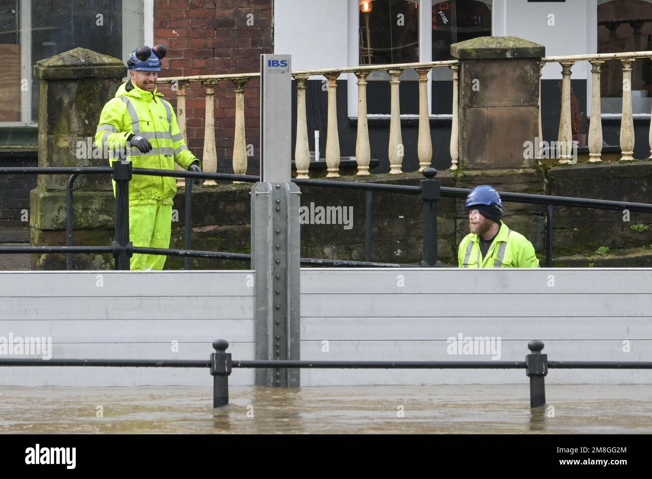 Bewdley, Worcestershire, Regno Unito. 14 gennaio 2023 - i lavoratori dell'Agenzia dell'ambiente hanno trattenuto il fiato mentre il fiume Severn continua a innalzarsi di fronte alle barriere di difesa contro le inondazioni a Beales Corner, che attualmente bloccano i torrenti d'acqua che attualmente misurano 4,6 m di altezza, con i picchi attesi all'inizio ore di domenica mattina. Un avvertimento meteorologico giallo per forti piogge è stato anche annunciato per l'Inghilterra occidentale, influenzando ulteriormente l'innalzamento del livello del fiume. Credito: Interrompi stampa Media/Alamy Live News Foto Stock