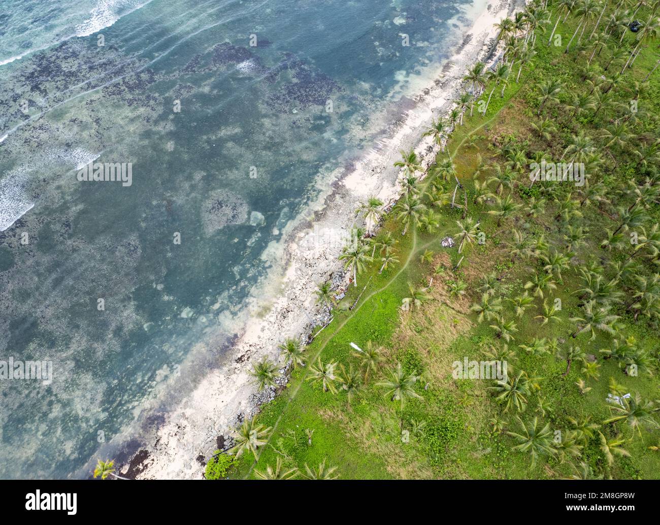 Spiaggia sull'isola di Siargao, Filippine visto dall'alto, foto del drone Foto Stock
