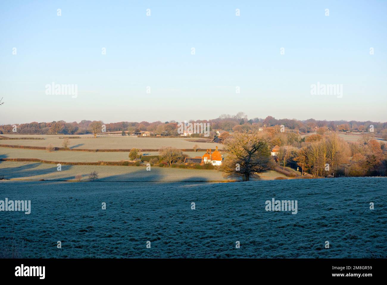 Scene invernali gelide vicino a Tenterden, Kent, Regno Unito Foto Stock