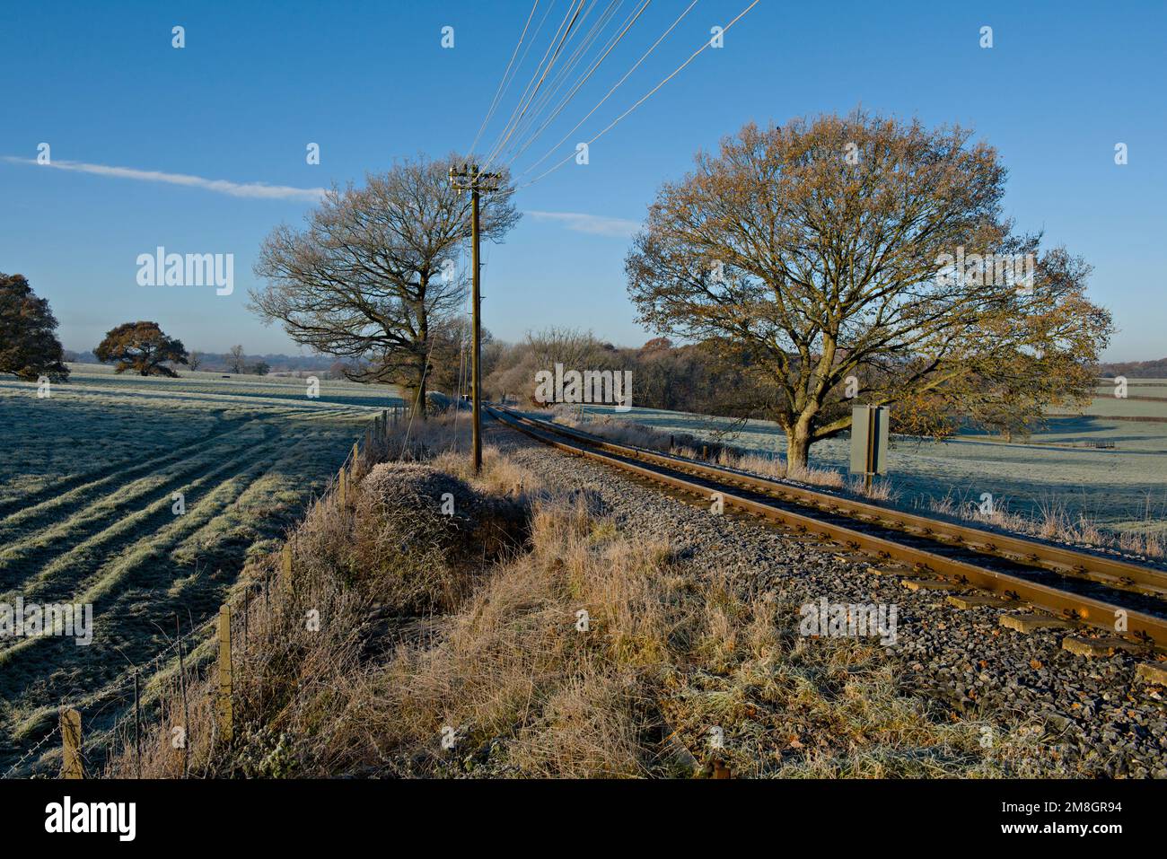Scene invernali gelide vicino a Tenterden, Kent, Regno Unito Foto Stock