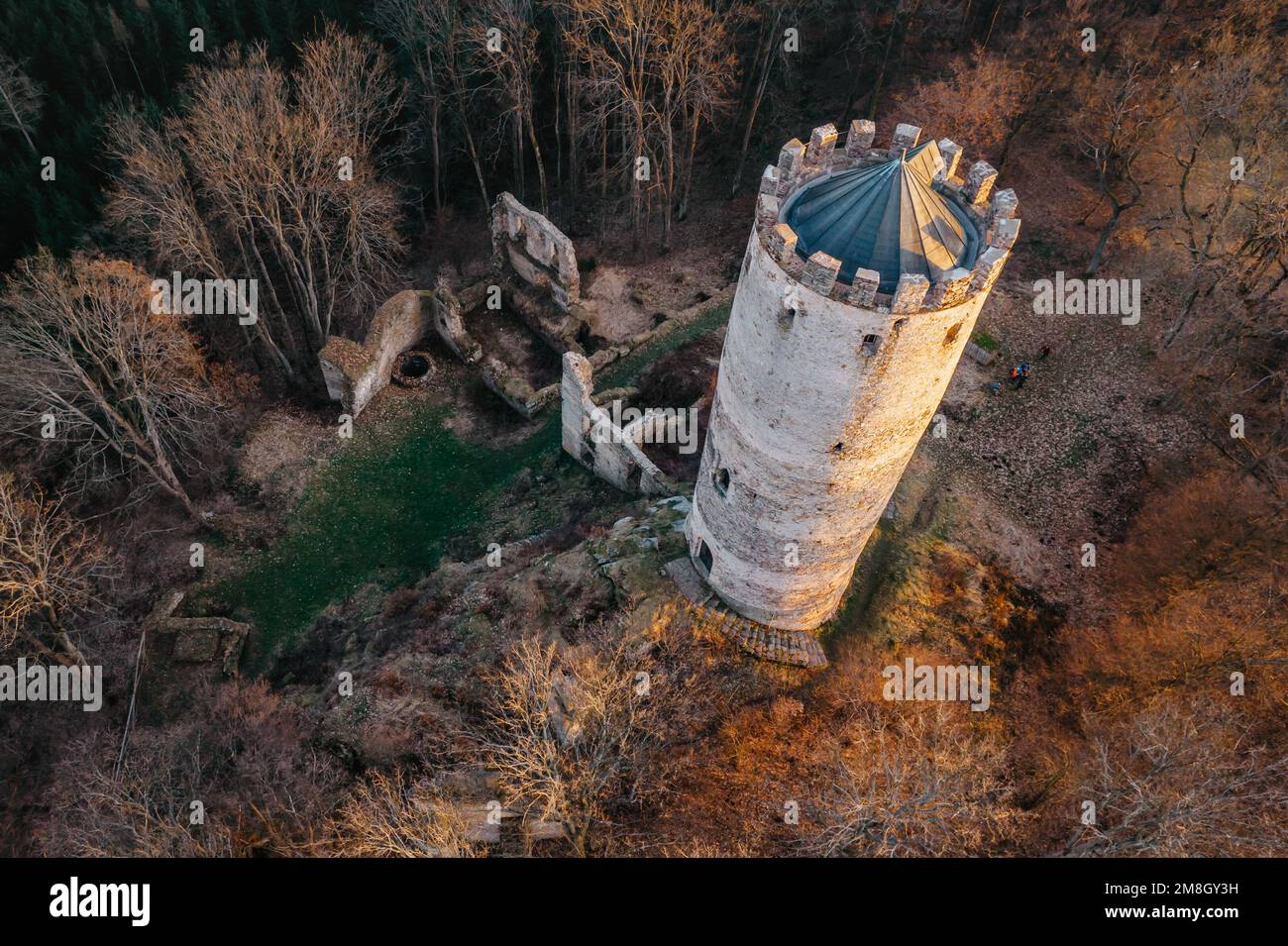 Veduta aerea del castello gotico-rinascimentale Selmberk rovina vicino al villaggio di Mlada Vozice, Repubblica Ceca. Si trova sulla roccia, la sua torre è dominante Foto Stock