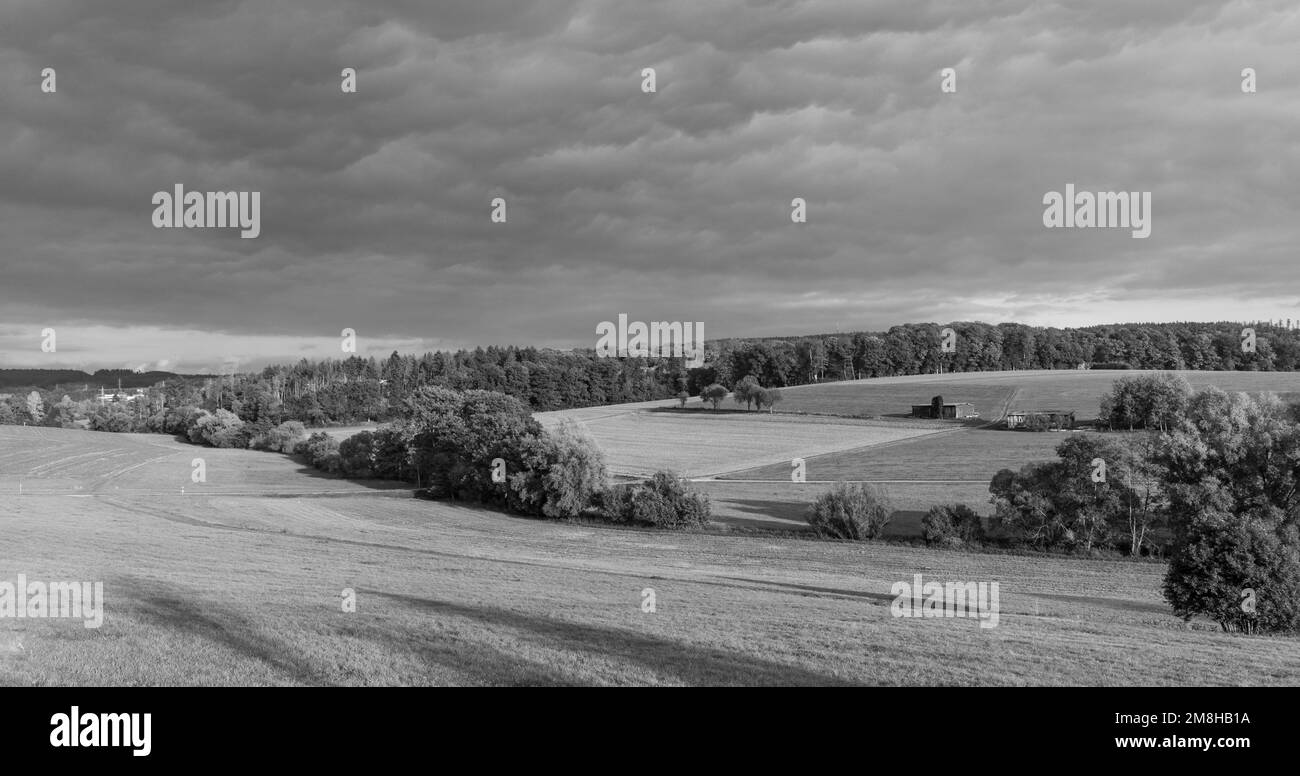 Paesaggio rurale panoramico con campi, foreste e prati verdi nella zona di Taunus in Germania Foto Stock