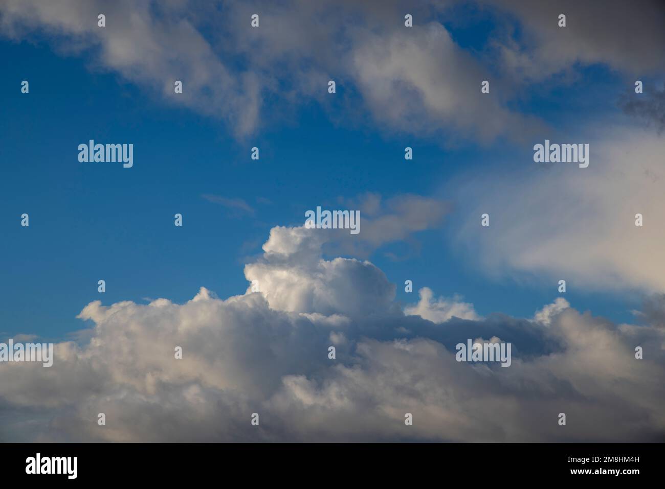 Cumulus nuvole contro un cielo blu Foto Stock