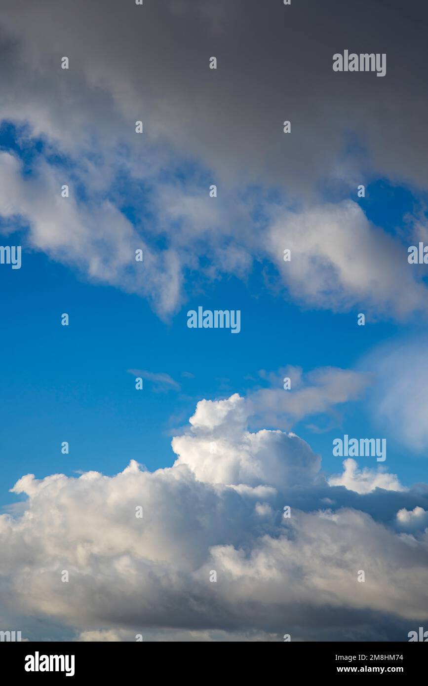 Cumulus nuvole contro un cielo blu Foto Stock