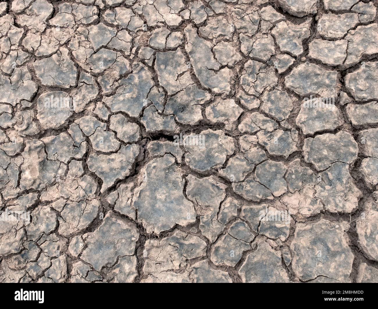 Terra parched a causa di siccità Foto Stock