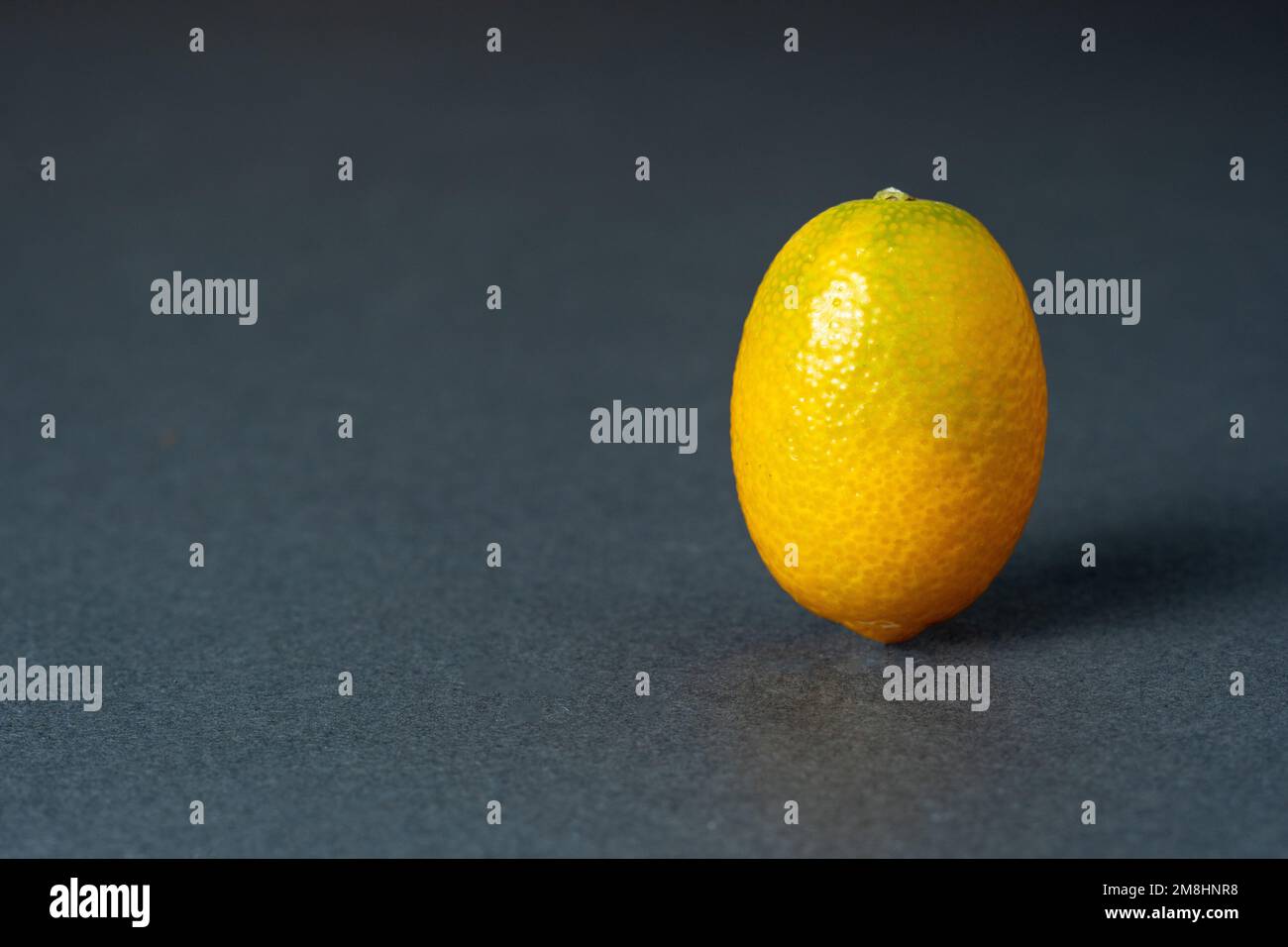 Cumquat o kumquat primo piano su sfondo grigio. Foto Stock