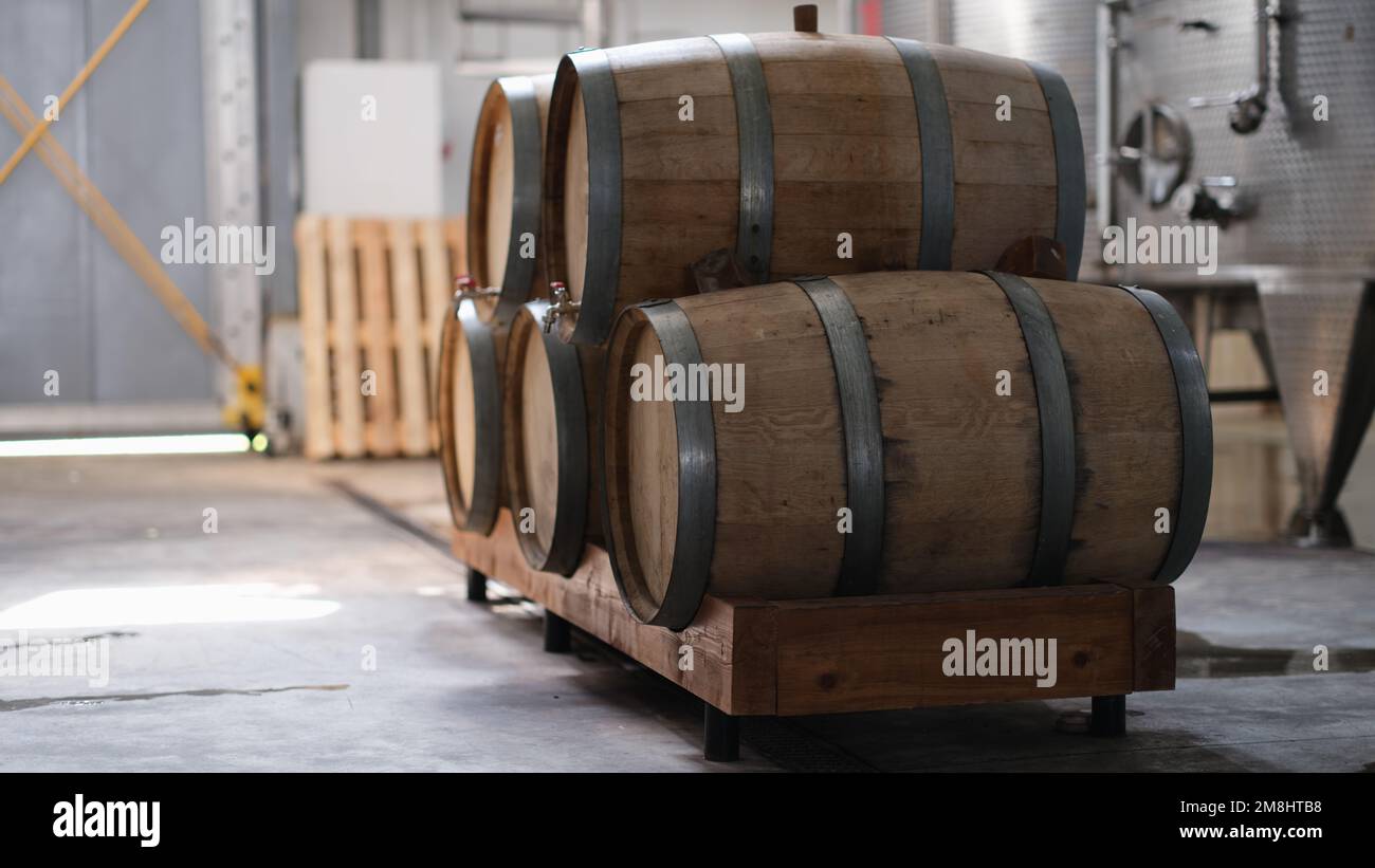 Azienda vinicola e cognac con vasche di fermentazione in acciaio e botti di legno per il processo di invecchiamento Foto Stock