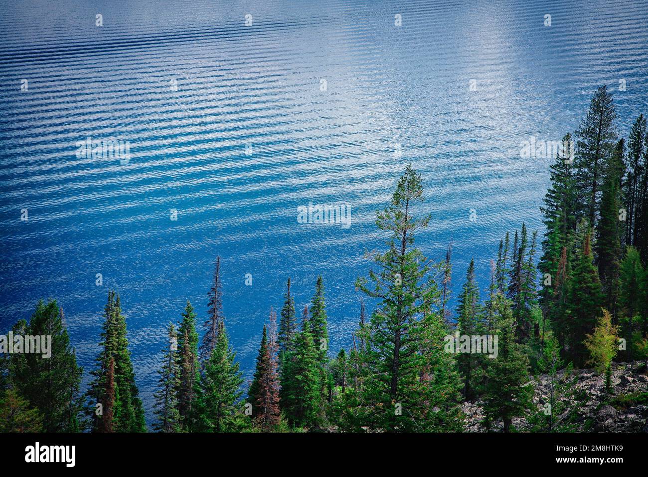 Piccole onde si infrangono sul lago Jenny nel Grand Teton National Park del Wyoming. Foto Stock