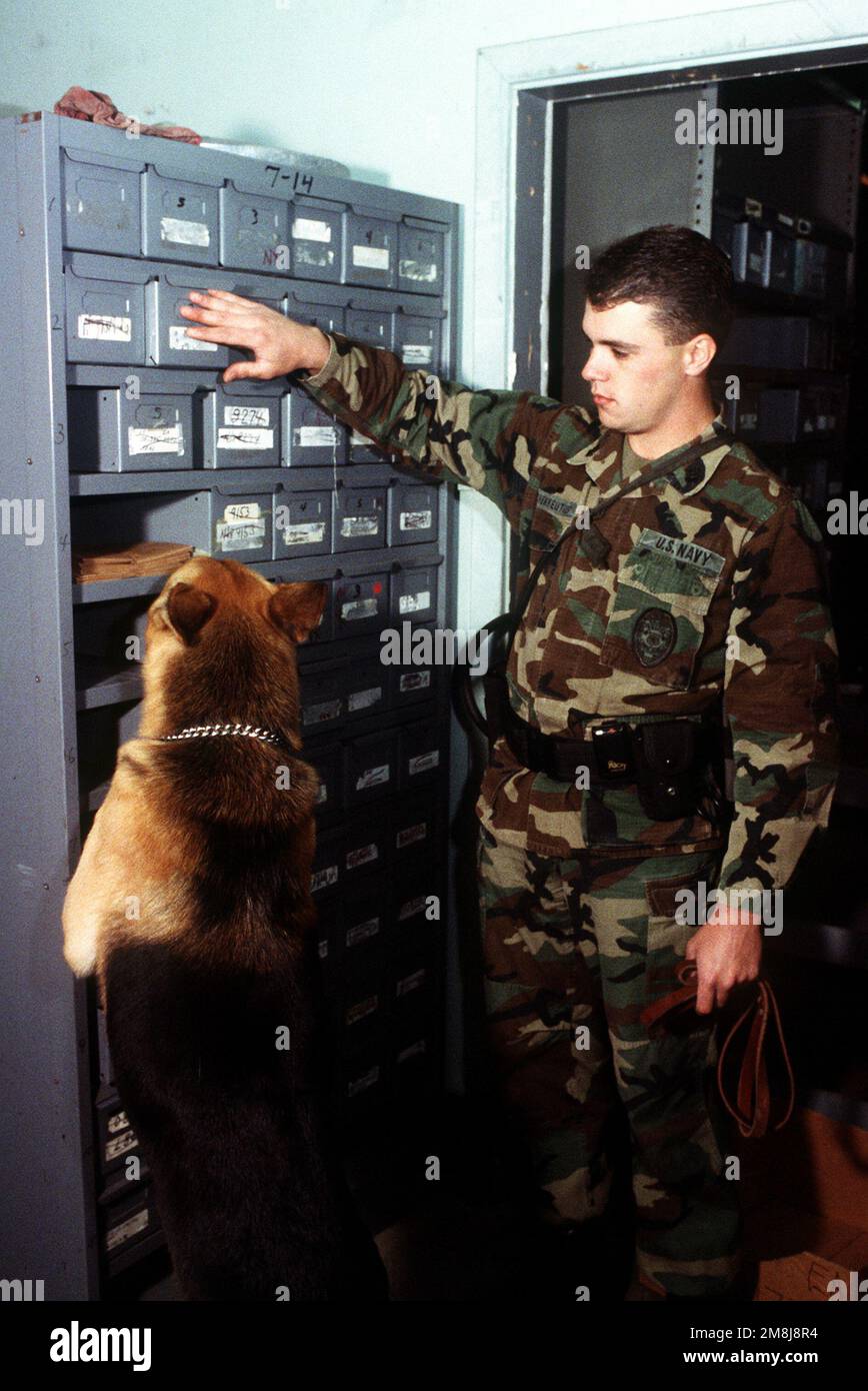 MASTER at Arms Second Class (NAA2) Kirk Kuchenreuther guida il suo cane Kazan mentre cercano materiale esplosivo nascosto in scaffalature d'ufficio durante un esercizio di allenamento alla Naval Station San Diego. Base: San Diego Stato: California (CA) Paese: Stati Uniti d'America (USA) Foto Stock