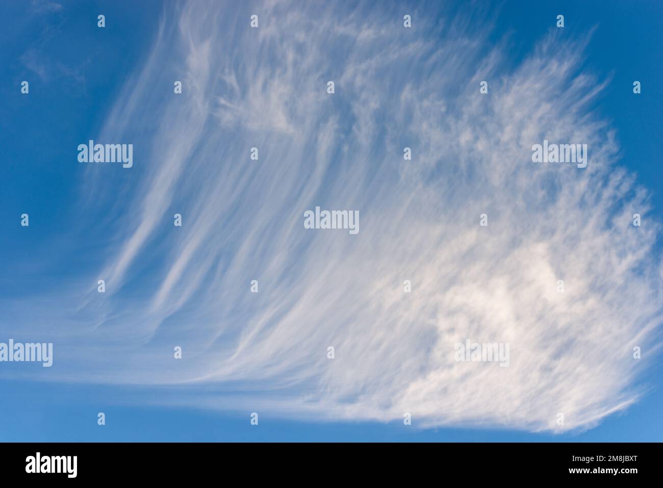 Fotografia di belle nuvole di cumulo o di cumulonimbus e cirrocumulus nuvole bianche, contro un cielo blu chiaro. Full frame, solo cielo. Foto Stock