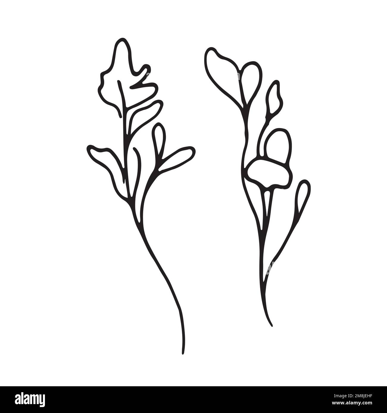 Corona con graphic vettore pianta rami con gemme e bacche Illustrazione Vettoriale