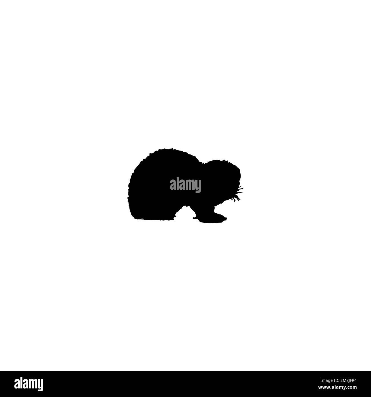 Icona Ferret. Semplice stile safari agenzia di viaggi grande vendita poster simbolo sfondo. Elemento di design del logo del marchio Ferret. Stampa di t-shirt Ferret. Illustrazione Vettoriale