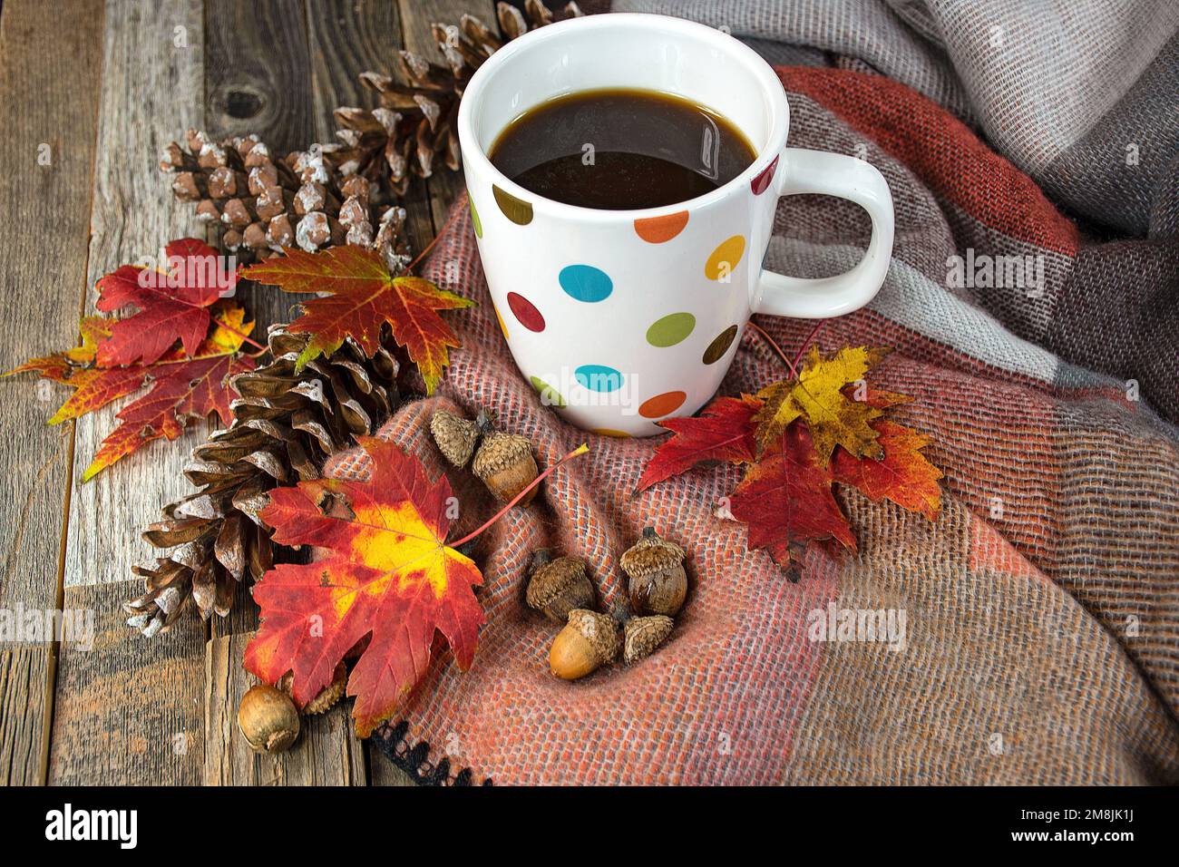 Tazza di caffè a pois Polka su una morbida coperta con foglie autunnali, ghiande e coni di pino Foto Stock