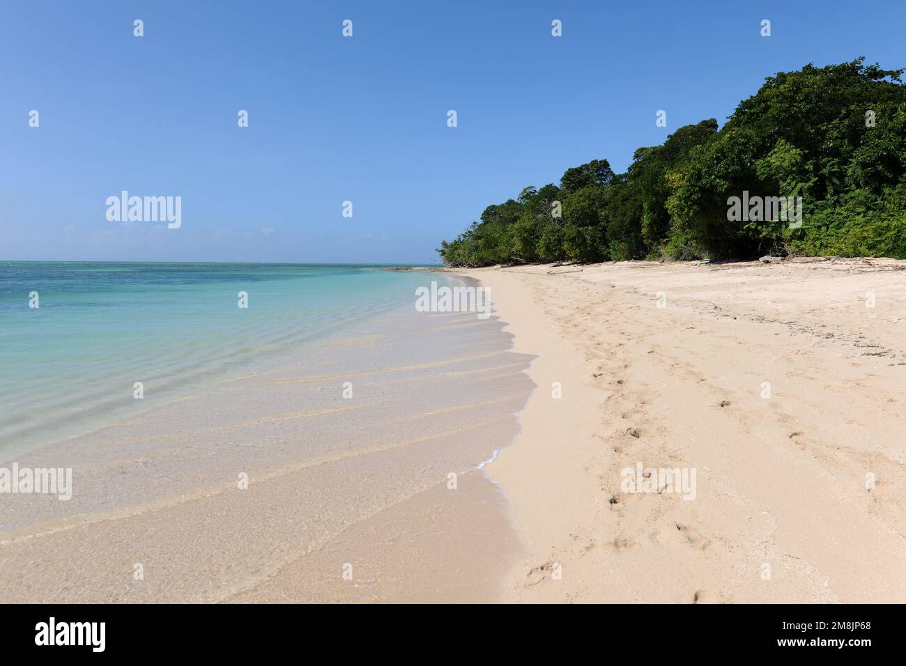 Spiaggia tropicale, Green Island sulla Grande barriera Corallina, Queensland, Australia Foto Stock