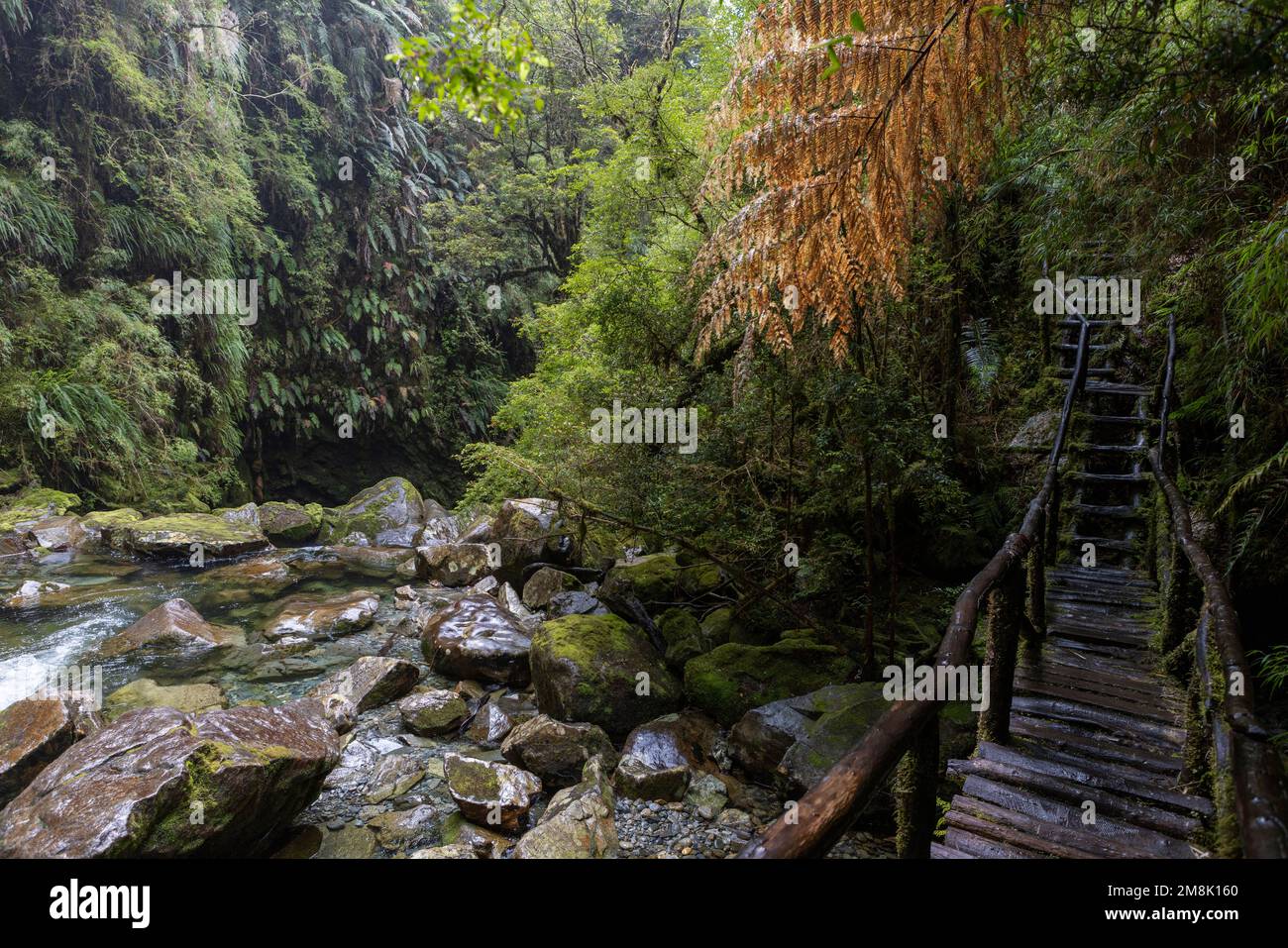 Bellissimo arazzo con paesaggio naturale appeso a parete, tappeto da