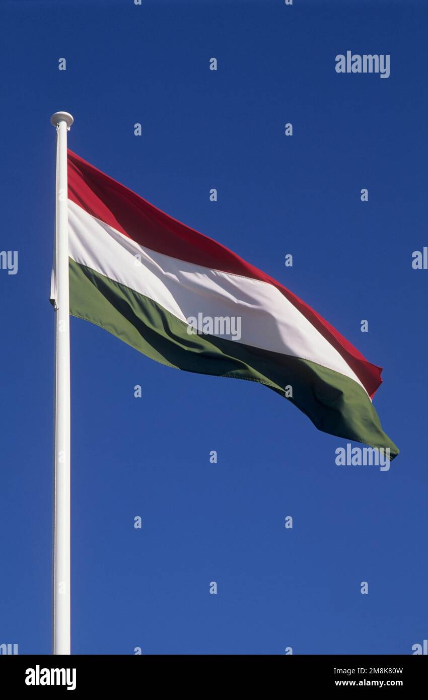 Bandiera nazionale dell'Ungheria. Foto Stock