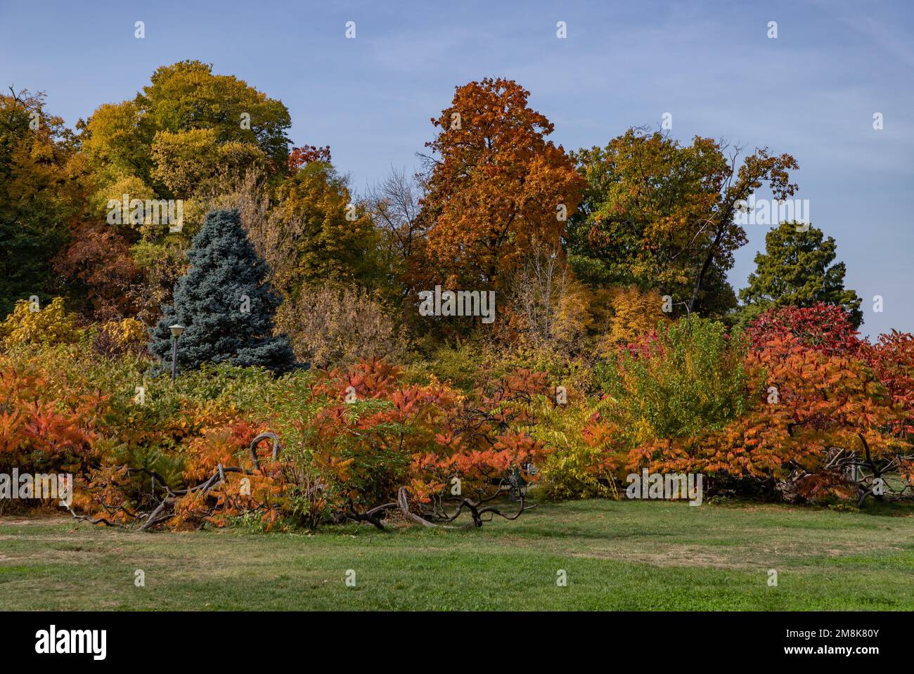 Una foto del Parco Herastrau in autunno. Foto Stock