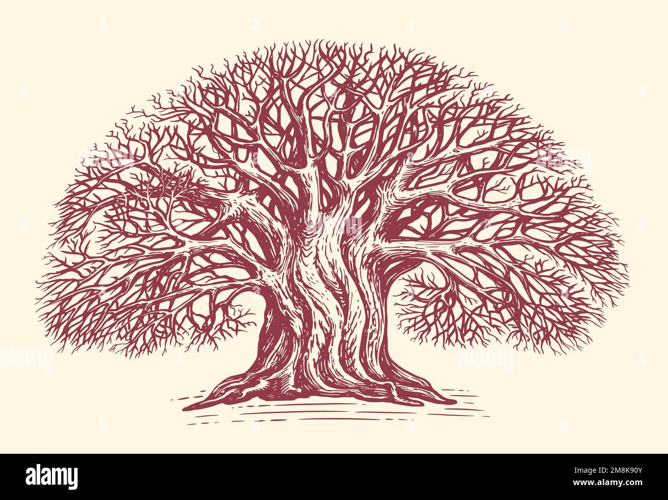 Albero deciduo ramificato senza foglie, disegnato a mano con incisione vintage. Grande schizzo di quercia. Illustrazione vettoriale Illustrazione Vettoriale