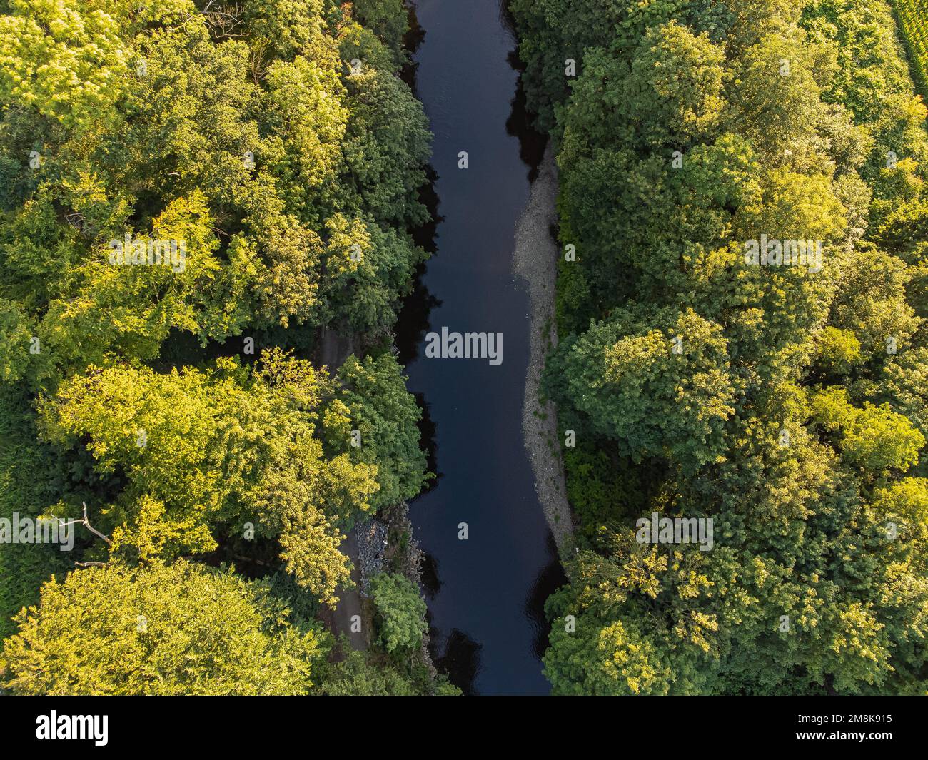 Alberi verdi e un fiume dall'alto. Vista panoramica. Immagine aerea Foto Stock
