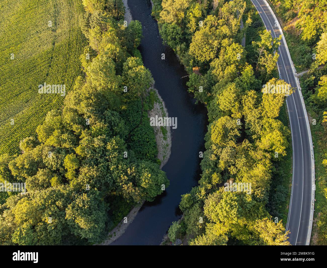 Alberi verdi e un fiume dall'alto. Vista dall'alto. Immagine aerea Foto Stock