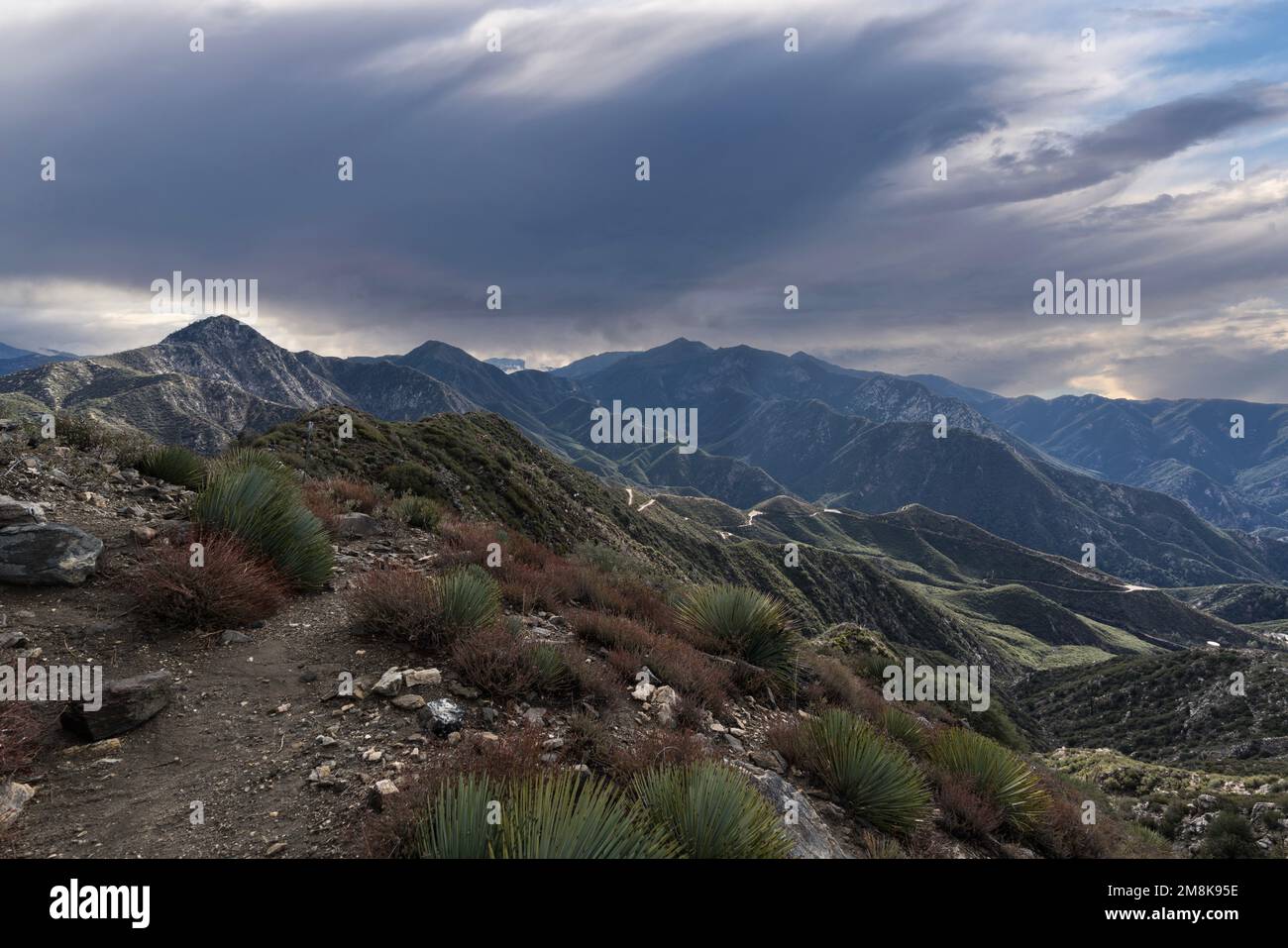 Vista verso Strawberry Peak e Mt Wilson dalla cima di Josephine Peak nelle Montagne di San Gabriel nella Contea di Los Angeles in California. Foto Stock