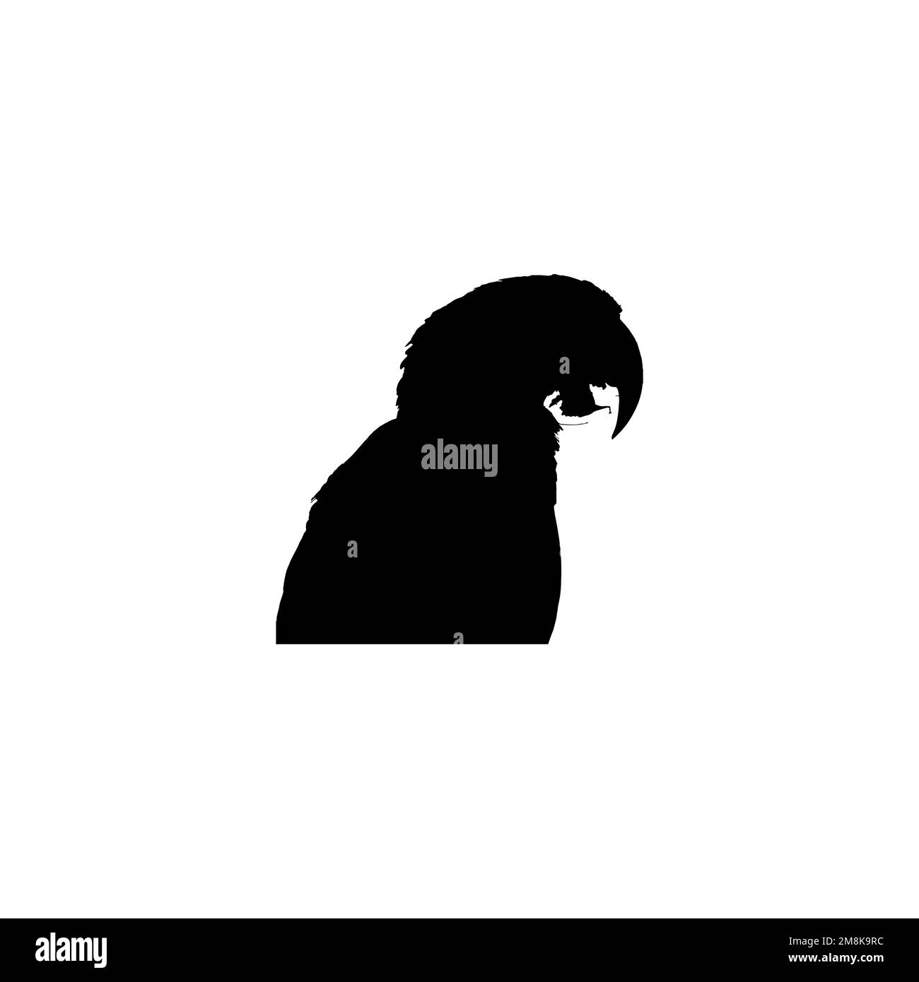 Icona del becco di pappagallo. Semplice stile tropicale viaggio grande vendita poster simbolo sfondo. Elemento di design del logo del marchio Parrot. Stampa di magliette con becco di pappagallo. Illustrazione Vettoriale