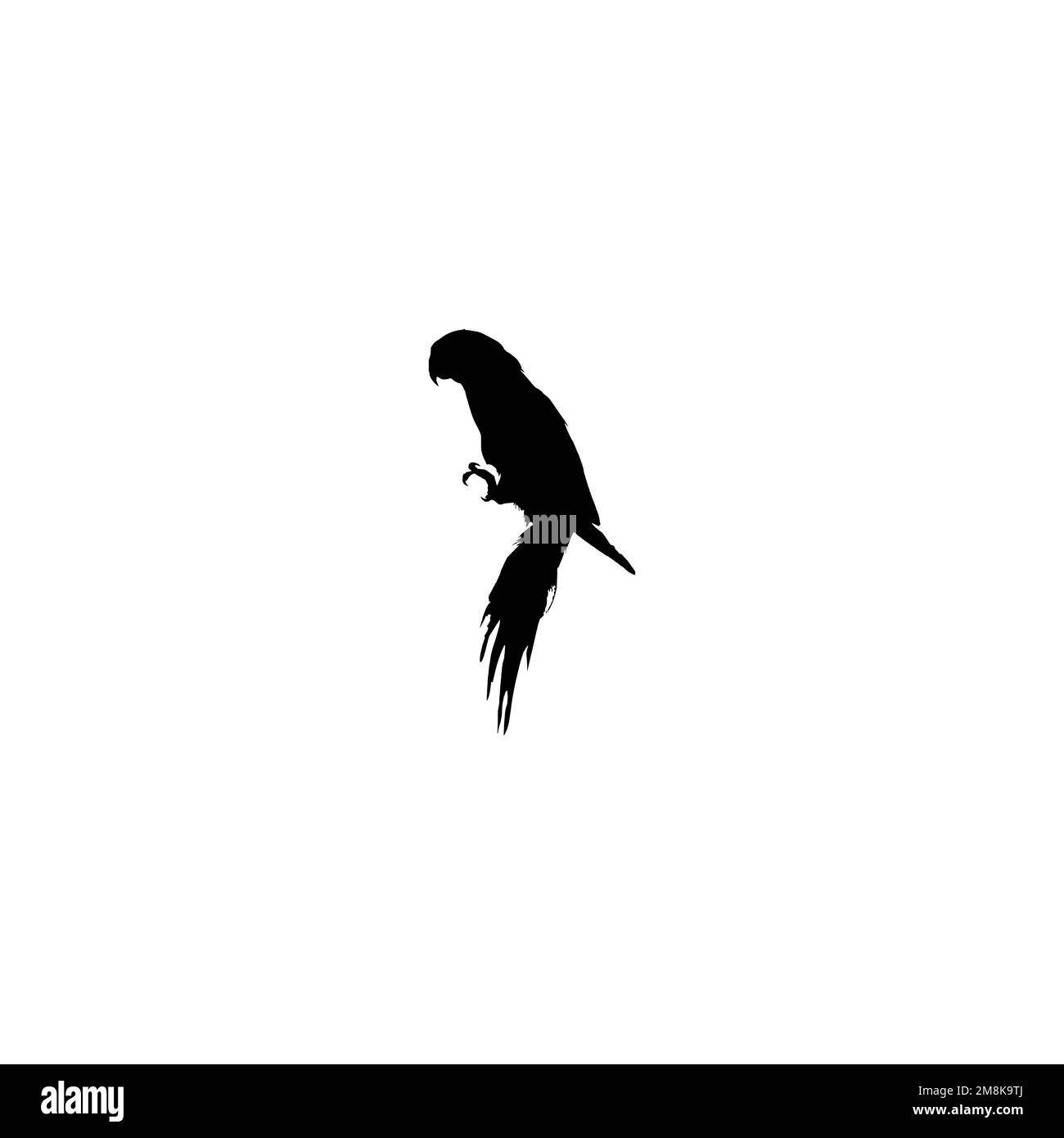 Icona del becco di pappagallo. Semplice stile tropicale viaggio grande vendita poster simbolo sfondo. Elemento di design del logo del marchio Parrot. Stampa di magliette con becco di pappagallo. Illustrazione Vettoriale