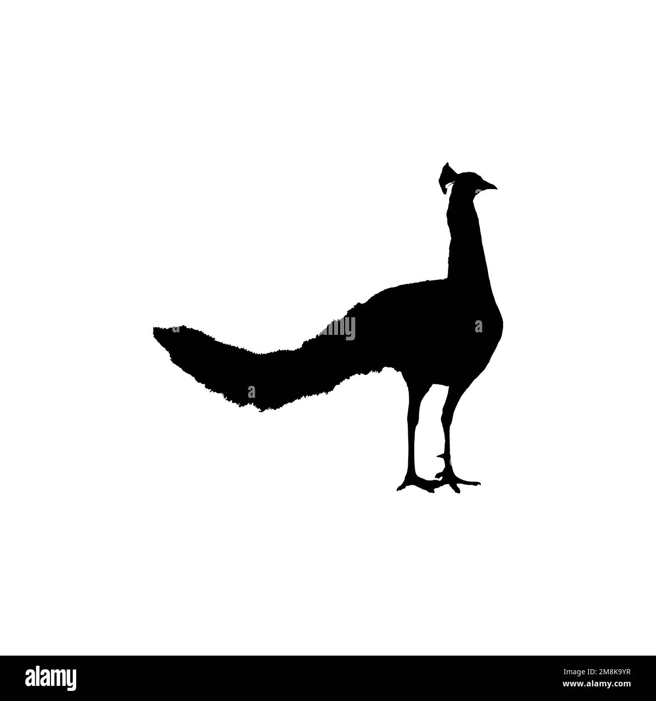 Icona Peacock. Semplice stile tropicale viaggio grande vendita poster simbolo sfondo. Elemento di design del logo del marchio Peacock. Stampa di t-shirt Peacock. Illustrazione Vettoriale