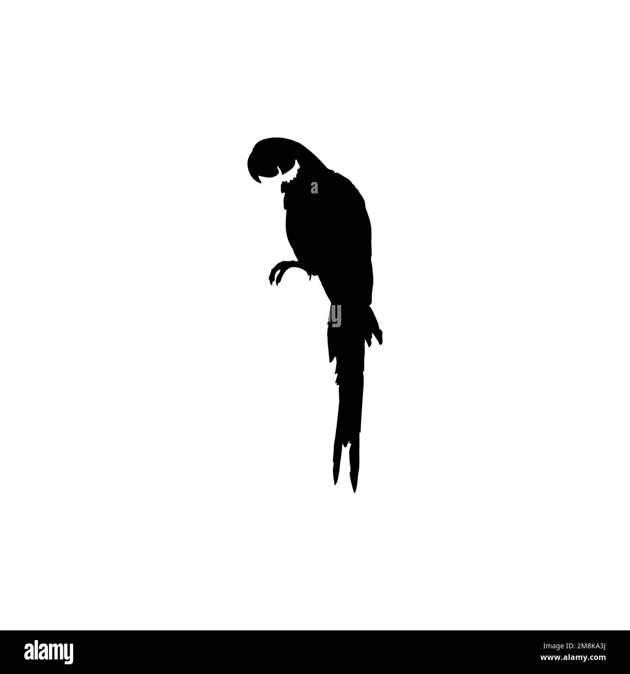 Icona del becco di pappagallo. Semplice stile tropicale viaggio grande vendita poster simbolo sfondo. Elemento di design del logo del marchio Parrot. Stampa di magliette con becco di pappagallo. Illustrazione Vettoriale