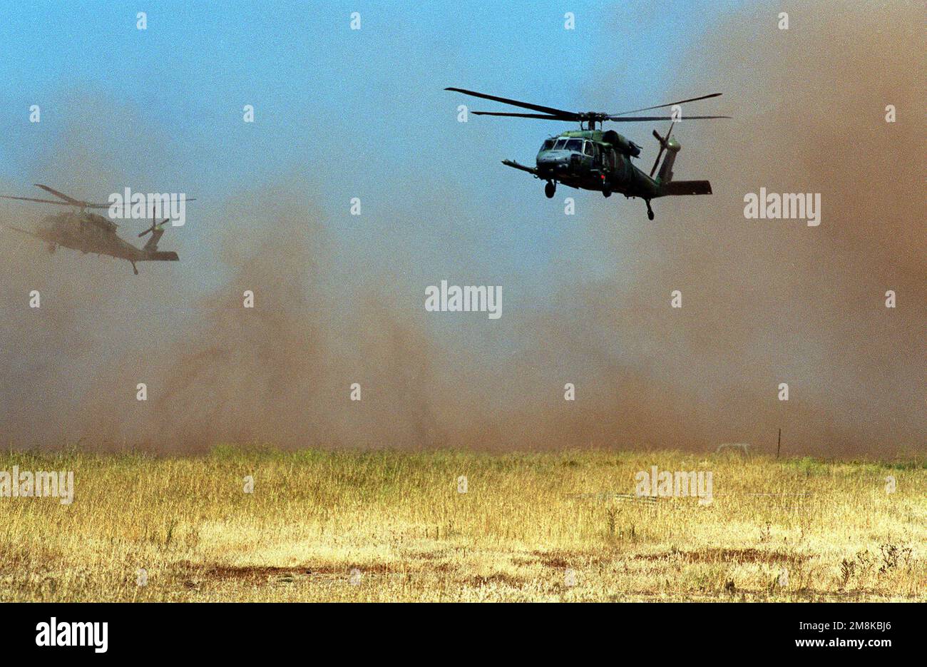 Due Stati Uniti Air Force MH-60 Pave Hawk elicotteri atterrano per un veloce allenamento su corda. durante questo esercizio di formazione internazionale sullo smaltimento delle ordigni esplosive. Soggetto operativo/Serie: BELL THUNDER '95 base: San Clemente Island Stato: California (CA) Paese: Stati Uniti d'America (USA) Foto Stock