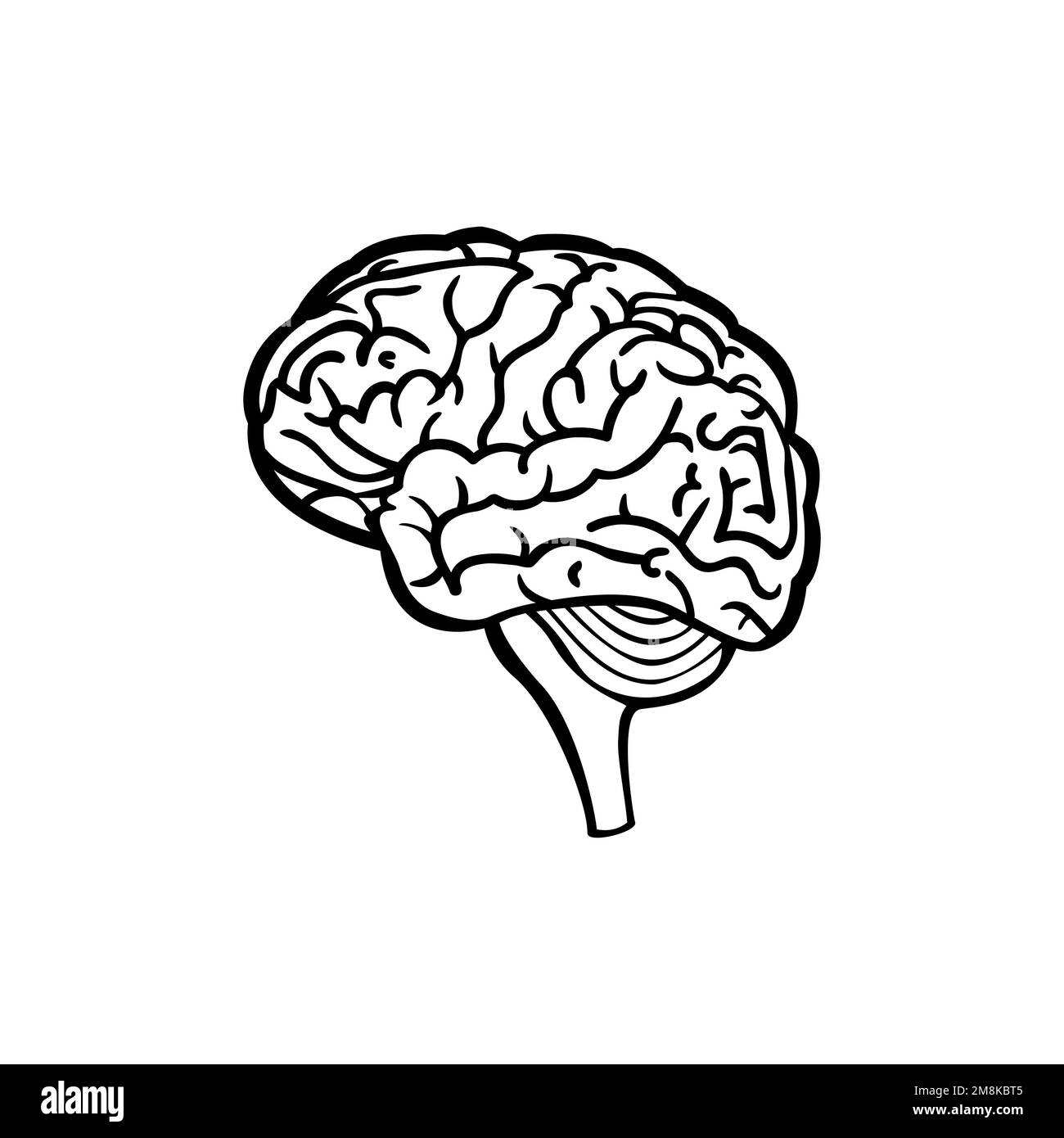 Illustrazione della linea del cervello umano. Illustrazione Vettoriale