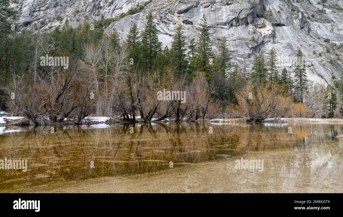Una fila di alberi senza fronde nel lago specchio con i riflessi. Alpini sono dietro questi alberi con montagna di granito sullo sfondo. Foto Stock