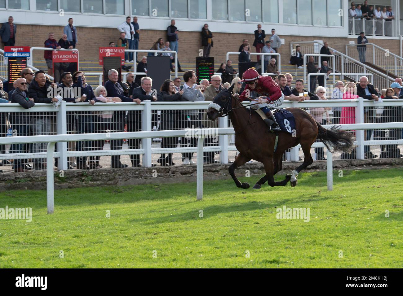 Windsor, Berkshire, Regno Unito. 3rd ottobre 2022. Horse My Lion guidato da jockey David Egan vince l'App alle corse Suggerimenti esperti Fillies Novice Stakes (Classe 5). Titolare Qatar Racing Ltd. Allenatore Andrew Balding, Kingsclere. Credito: Maureen McLean/Alamy Foto Stock