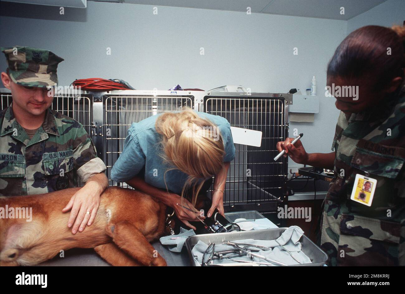 PFC. Neil degli Stati Uniti. Corpo medico militare assistere Dental Technician Second Class (DT2) C.J. Phillips su illuminazione in modo da poter pulire correttamente i denti del cane militare di lavoro Max presso la clinica veterinaria dell'esercito. Max fa parte del Naval Activities Security Detachment. Base: US Army Veterinary Service Stato: Guam (GU) Paese: Isole Marianne Settentrionali (MNP) Foto Stock