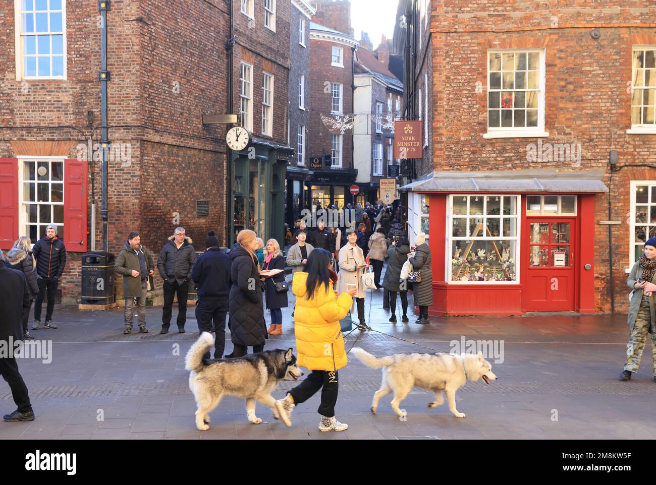 Natale a Minster Gates, di York Minster, nel centro medievale, nello Yorkshire, Regno Unito Foto Stock