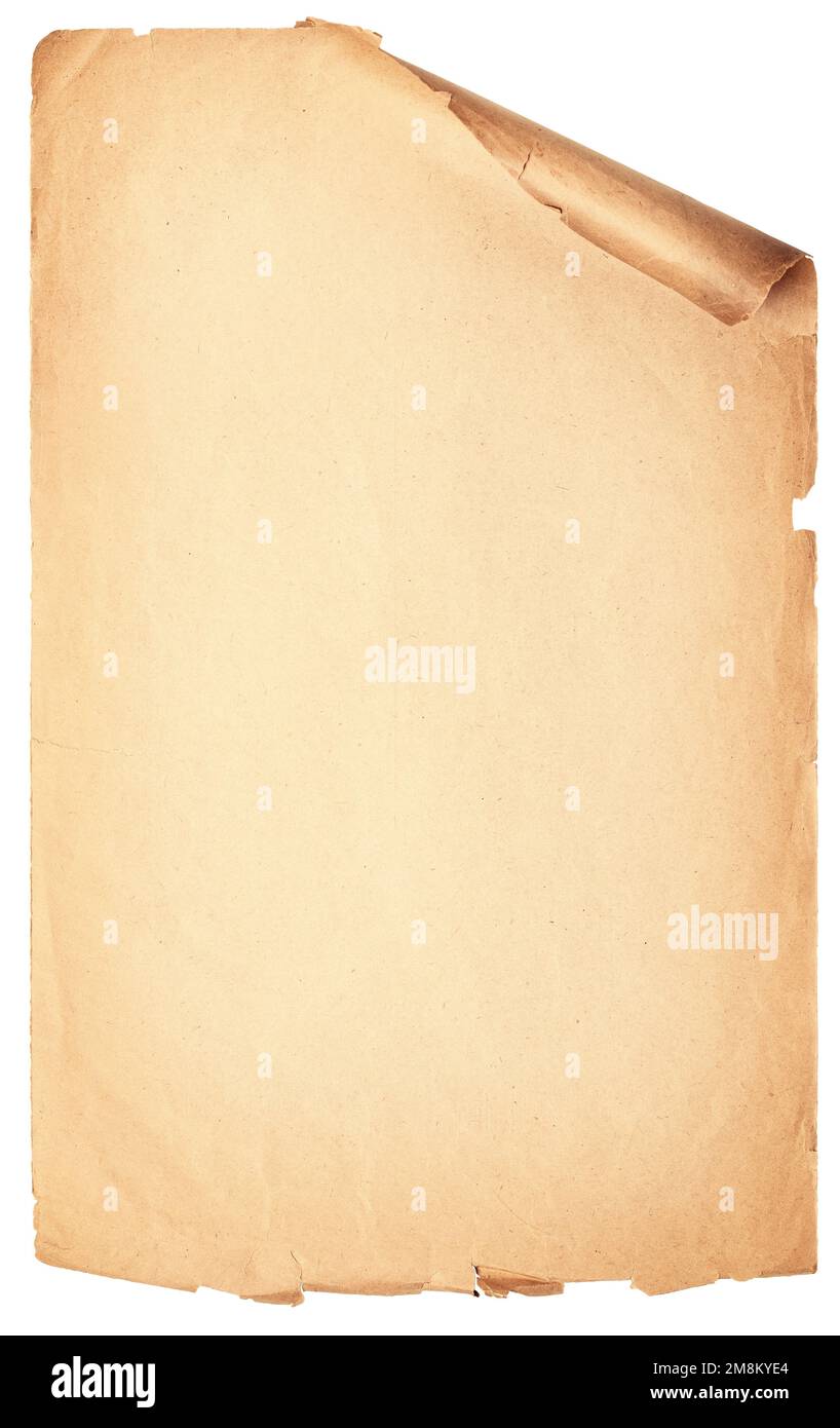 rotolo vintage isolato su bianco. texture di carta del vecchio manoscritto con spazio di copia Foto Stock