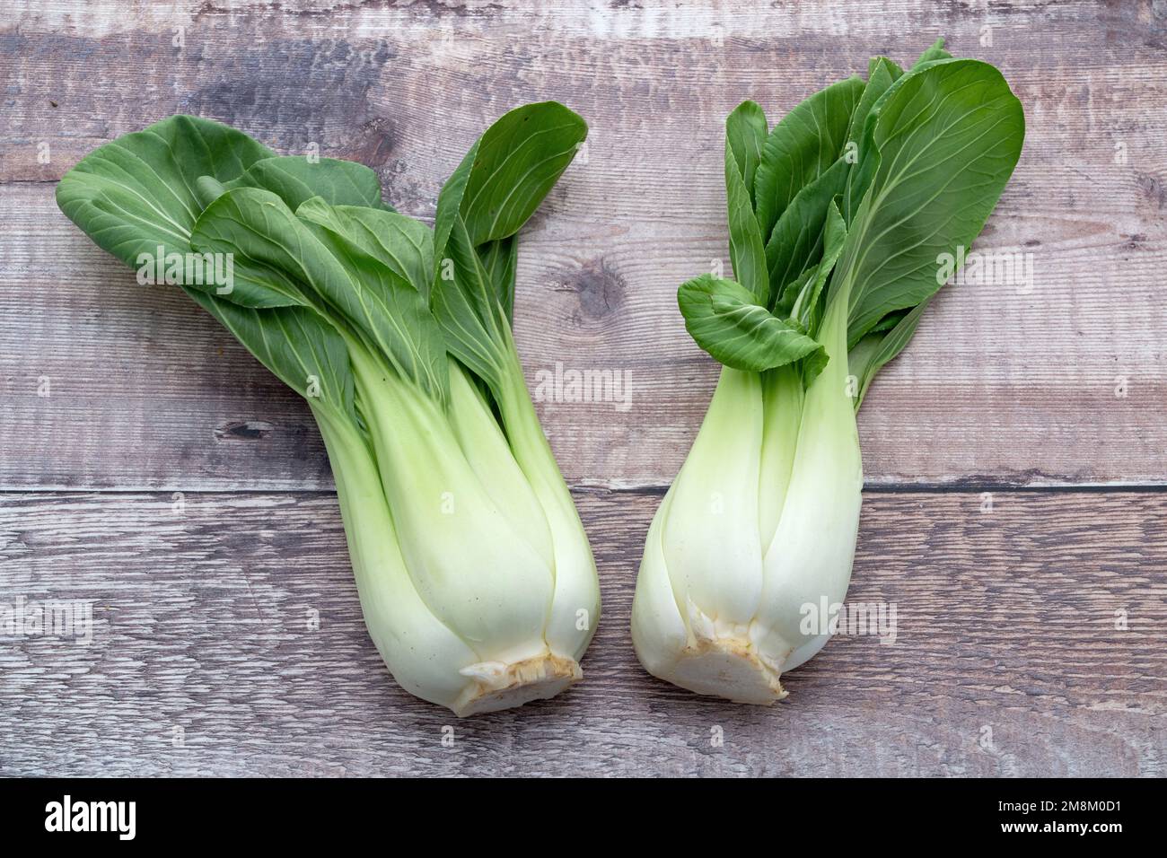 Due verdure fresche di bok choy Foto Stock