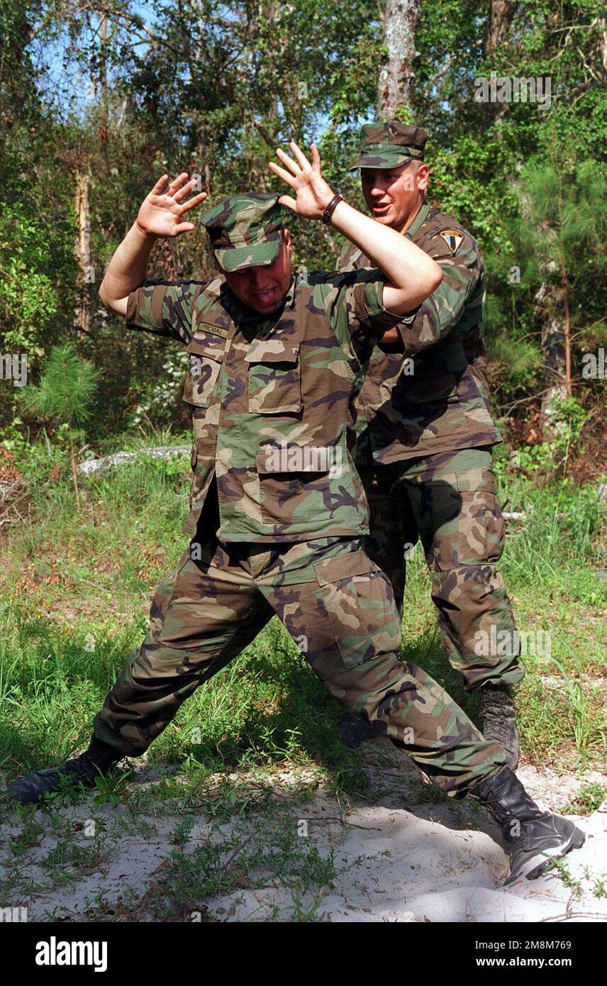 I soldati estoni imparano a condurre ricerche di personale sulla strada degli Stati Uniti durante l'esercizio di addestramento situazionale 5, Check Point Operations/ Weapons Disarmamento, LA COOPERATIVA OSPREY 96. La cooperativa Osprey è un'esercitazione sponsorizzata dal comando Atlantico degli Stati Uniti che è condotta dalle forze marine atlantiche a Camp Lejeune, North Carolina. La cooperativa Osprey, nell'ambito del programma partenariato per la pace, fornirà una formazione sull'interoperabilità nelle operazioni di mantenimento della pace e umanitarie secondo gli standard NATO/IFOR, con particolare attenzione alle competenze individuali e collettive. I tre paesi della NATO che forniscono truppe sono t Foto Stock