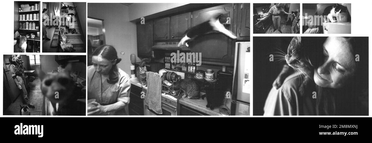 Fotografo militare dell'anno Vincitore 1998 titolo: Cat Lady Categoria: Picture Story luogo: Terzo posto Picture Story/primo posto PortfolioDipartimento della Marina Kristen Kierig è l'epitome di un amante del gatto. Nel corso degli anni, ha preso in linee vaganti e ora ha 110 di loro che vivono nella sua casa di città a due camere da letto. Naturalmente ci sono alcuni sacrifici da compiere con tanta devozione estrema. Si sveglia alle 4 del mattino per cambiare le scatole di lettiera, pulire la casa, nutrire e annaffiare i gatti, e dare loro teneri amore e cura - un processo che richiede fino a quattro ore. "Ne vale la pena", ha detto Kierig. Foto Stock
