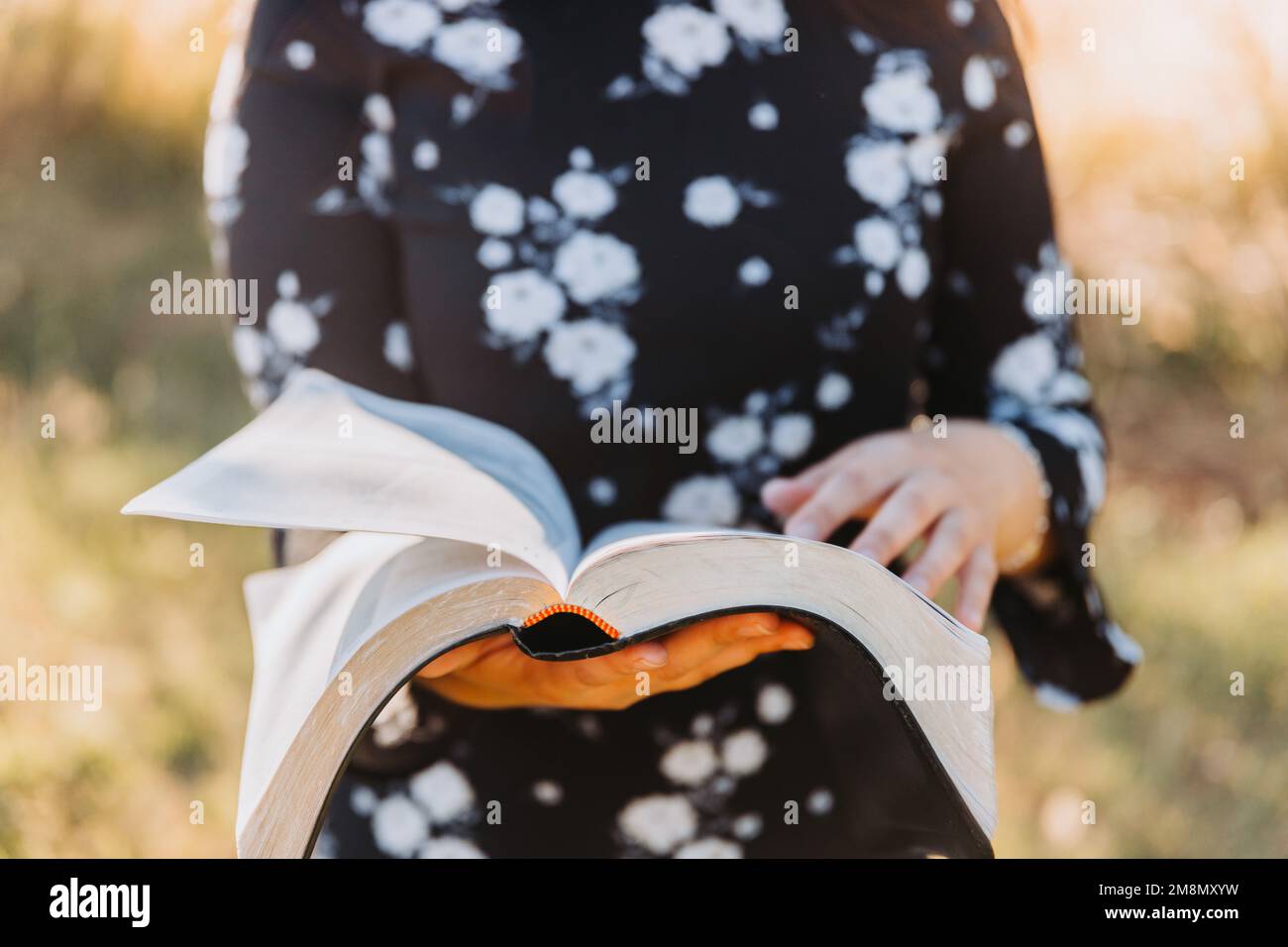 Giovane donna irriconoscibile che tiene e legge la sua bibbia, al di fuori con luce solare. Protestantesimo Foto Stock