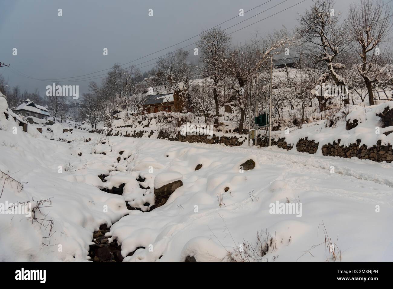 Srinagar, India. 15th Jan, 2023. Una vista di strade coperte di neve, alberi e case dopo una forte nevicata nella periferia di Srinagar. A causa delle forti nevicate, ci sono state valanghe multiple in diversi luoghi del Kashmir. Il periodo di 40 giorni dal 21 dicembre al 31st gennaio, noto anche come Chilai Kalan, in Kashmir è considerato il più cruciale quando nevica la condizione peggiora ulteriormente. (Foto di Idrees Abbas/SOPA Images/Sipa USA) Credit: Sipa USA/Alamy Live News Foto Stock