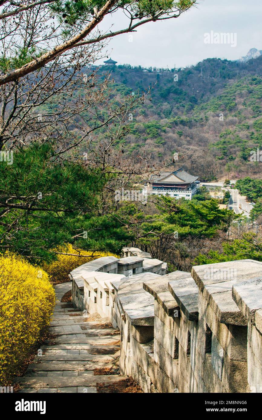 Vista aerea dell'area residenziale nella citta' di Seongbuk-dong. Foto Stock