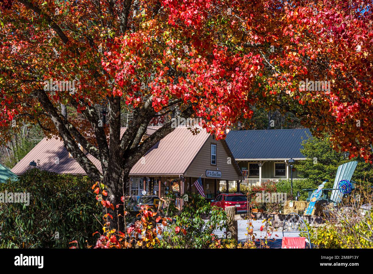 The Bird Barn and Cashiers Kitchen Company accanto a Zoller hardware in Cassiers, North Carolina. (USA) Foto Stock