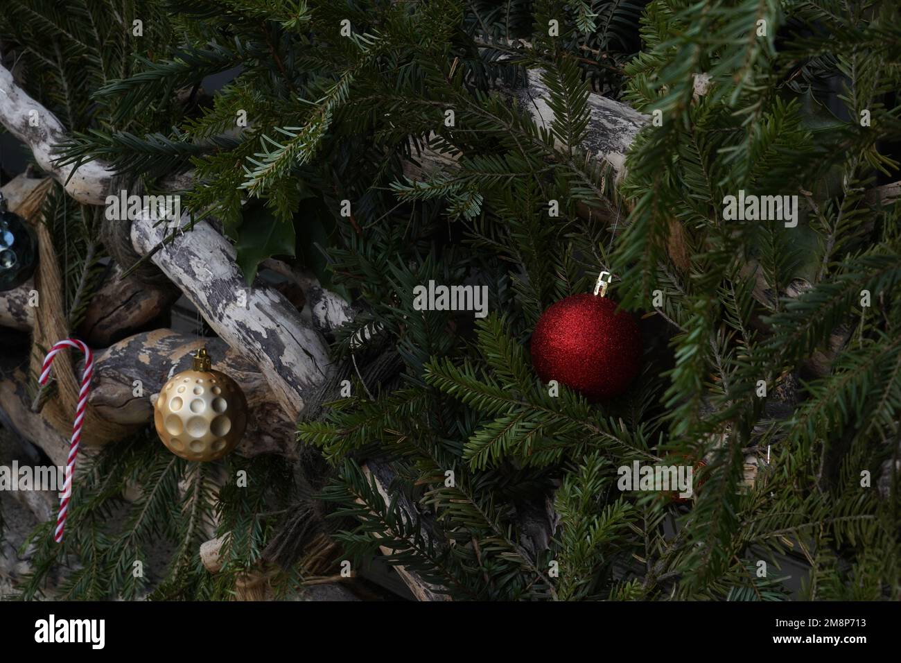 Le palle di Natale e le decorazioni della canna di caramella di Natale sono disposte sui ramoscelli di conifere come decorazione stagionale esterna. Foto Stock