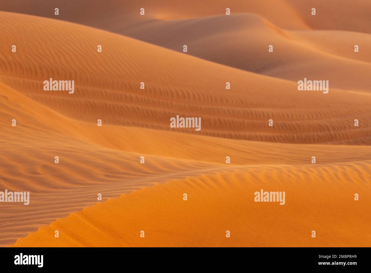 Primo piano della cresta delle dune del deserto, con motivi ondulati disegnati dal vento Foto Stock