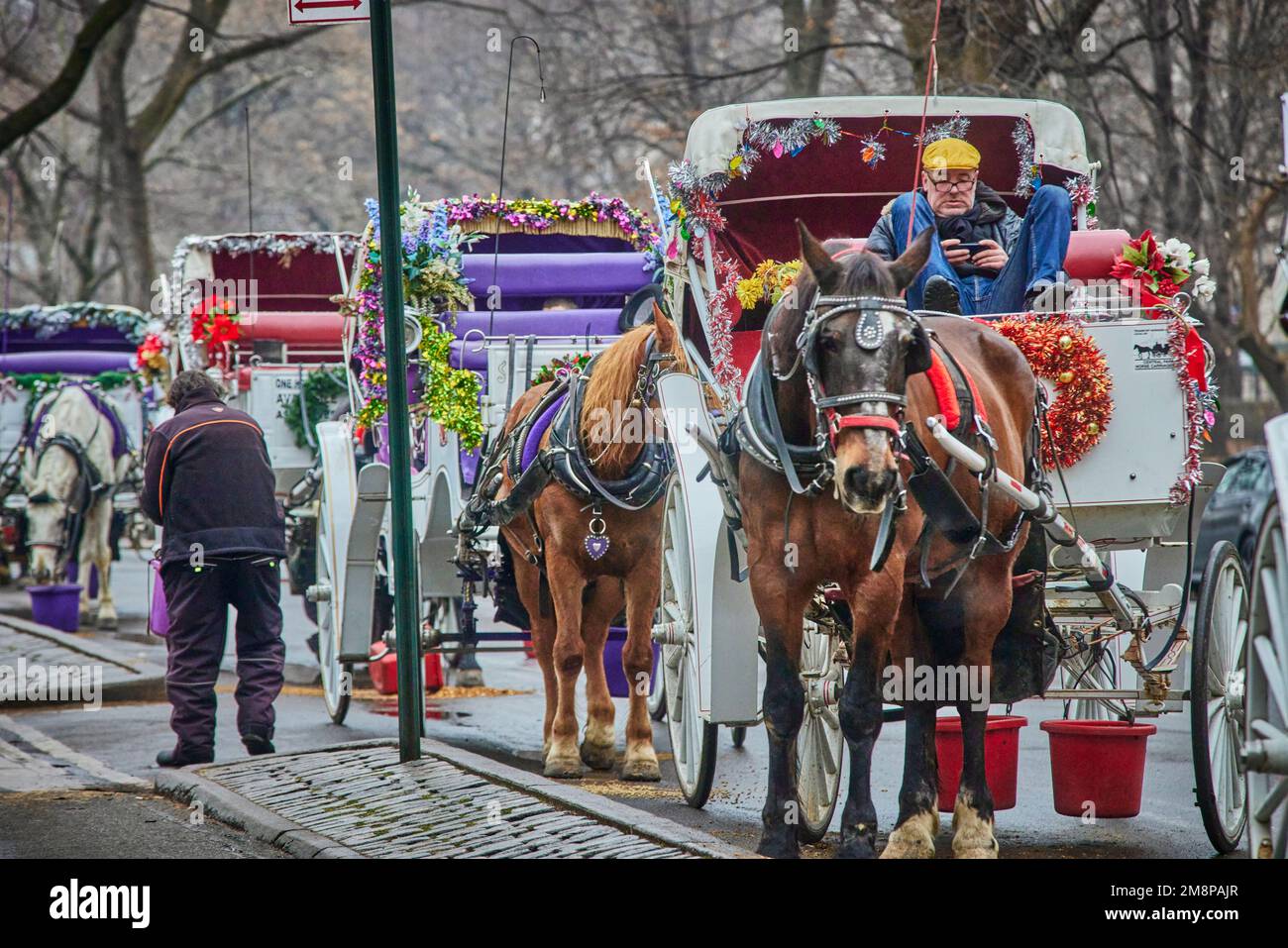 New York City Manhattan Central Park cavallo e cart driver riposo Foto Stock