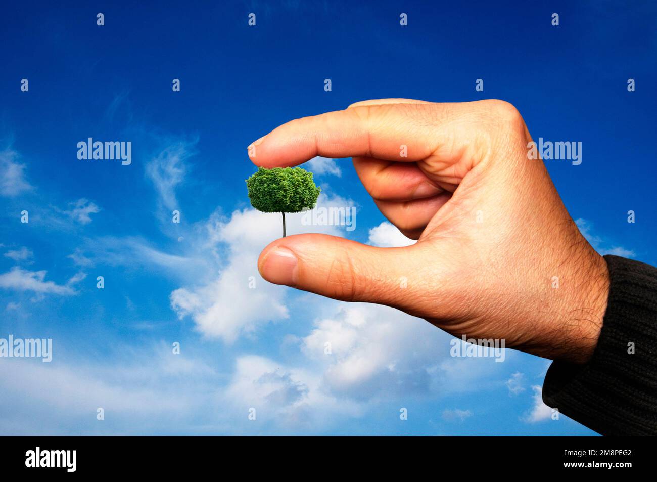 Man mano che regge una struttura ad albero in miniatura fra le dita e proteggere la natura concetto Foto Stock